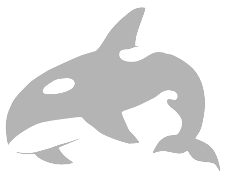 Orca Web Works Logo