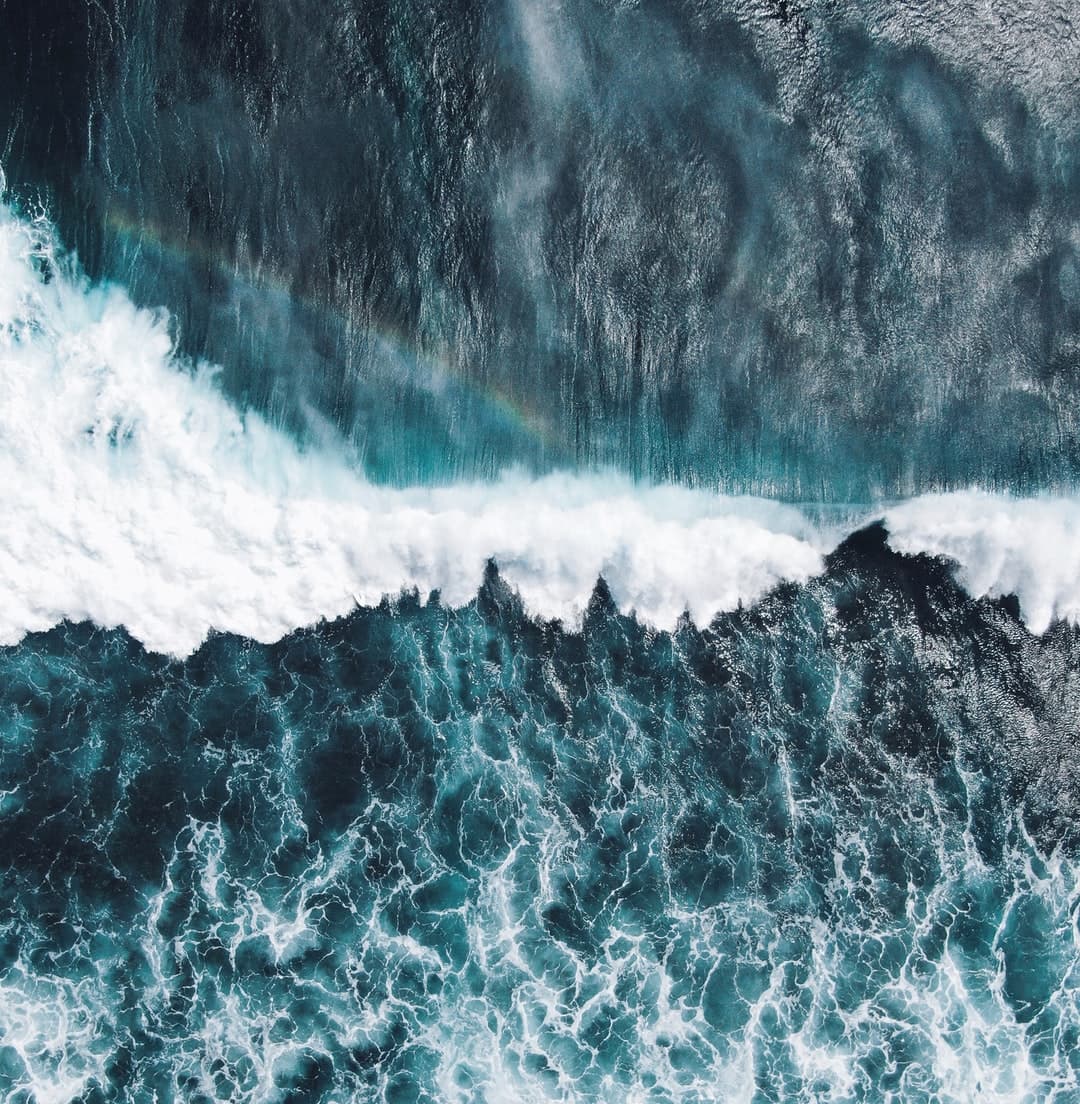 Orca Web Works Hero Image